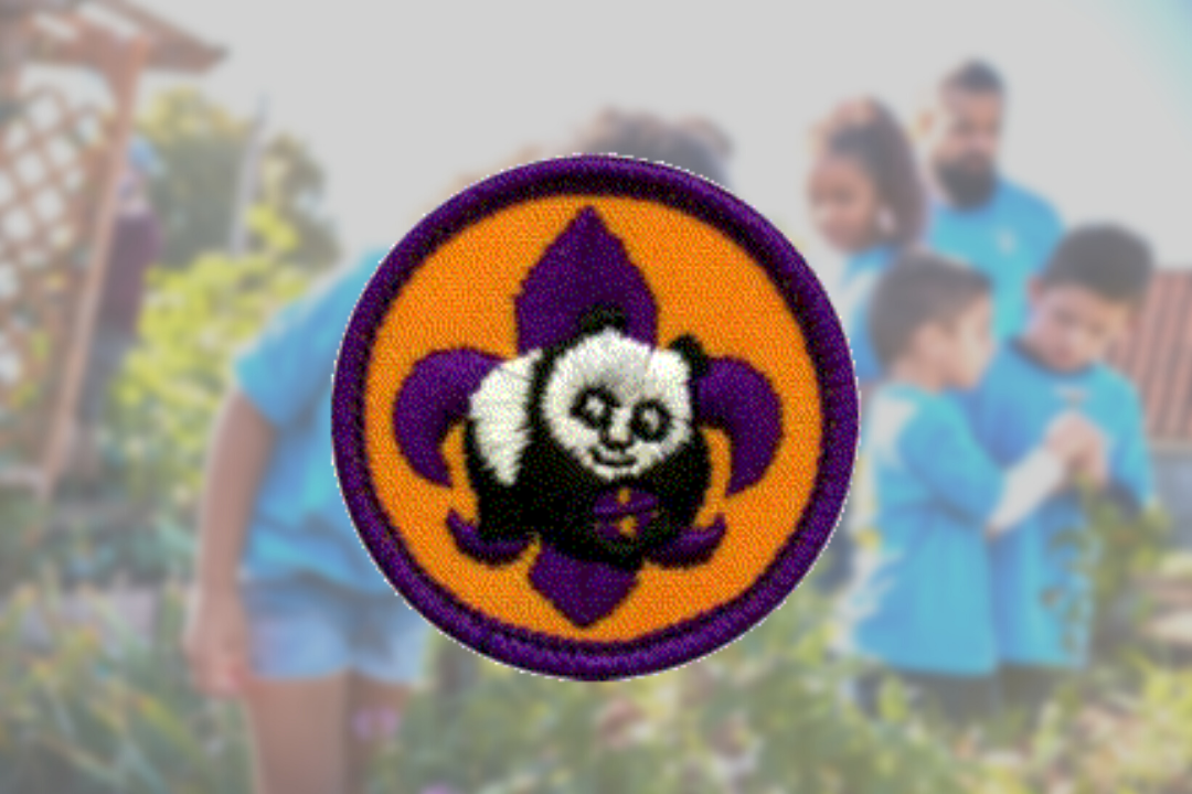 Achievements & Awards Cub Scout Pack 261